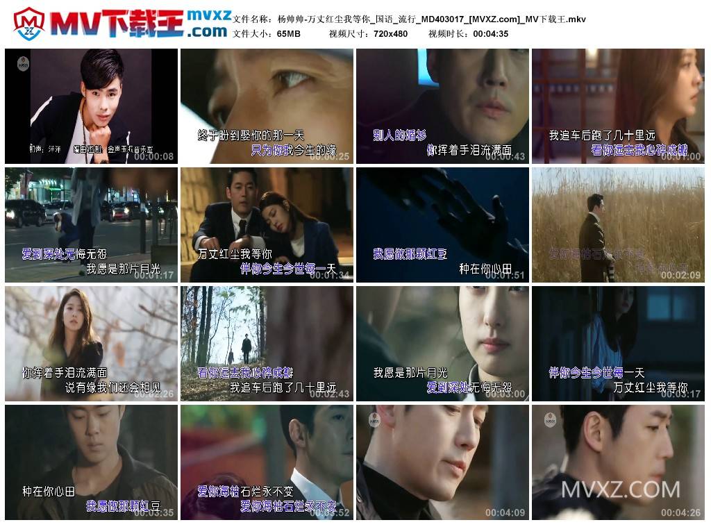 杨帅帅-万丈红尘我等你_国语_流行_MD403017